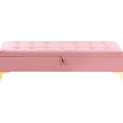 ABERDEEN - Ottomaan met opbergruimte - Roze - Fluweel