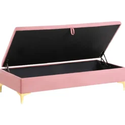 ABERDEEN - Ottomaan met opbergruimte - Roze - Fluweel