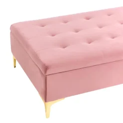 ABERDEEN - Ottomaan met opbergruimte - Roze - Fluweel