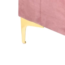 ABERDEEN - Ottomaan met opbergruimte - Roze - Fluweel