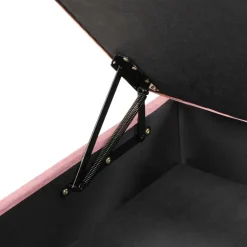 ABERDEEN - Ottomaan met opbergruimte - Roze - Fluweel