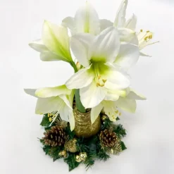 Amaryllis - Hippeastrum 'Kerstkransmix'