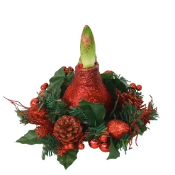 Amaryllis - Hippeastrum 'Kerstkrans' - Rood