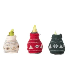 Amaryllis - Set van 3 - Hippeastrum 'Christmas Sweater' - Bloembol - Rood