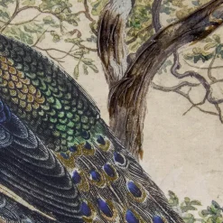 Art for the Home Canvas Geschilderde Details Peacock in Paradise