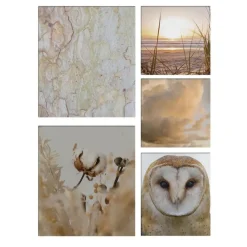Art for the Home Natuur Canvas Set van 5 80x60 cm