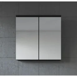 Badplaats Spiegelkast Toledo 60 x 20 x 60 cm - Zwart - Badkamerkast Badkamer