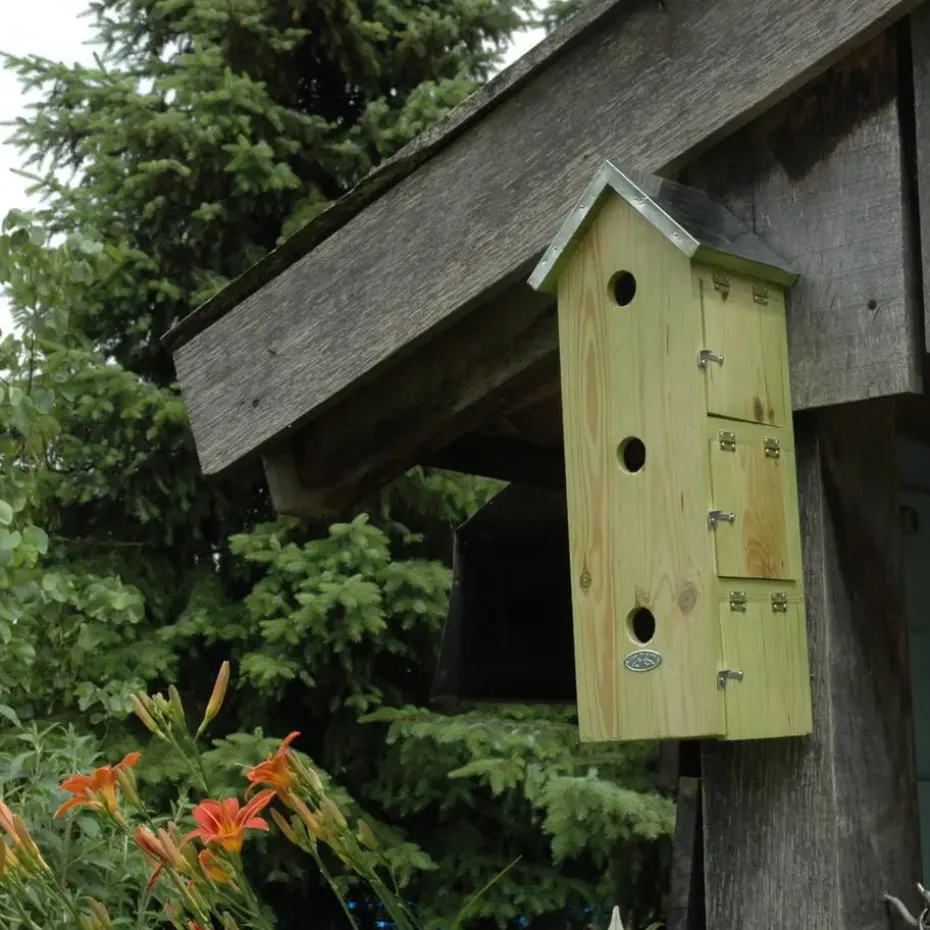 Best for Birds Vogelhuisje - mussenflat - hout - 51 x 19 cm