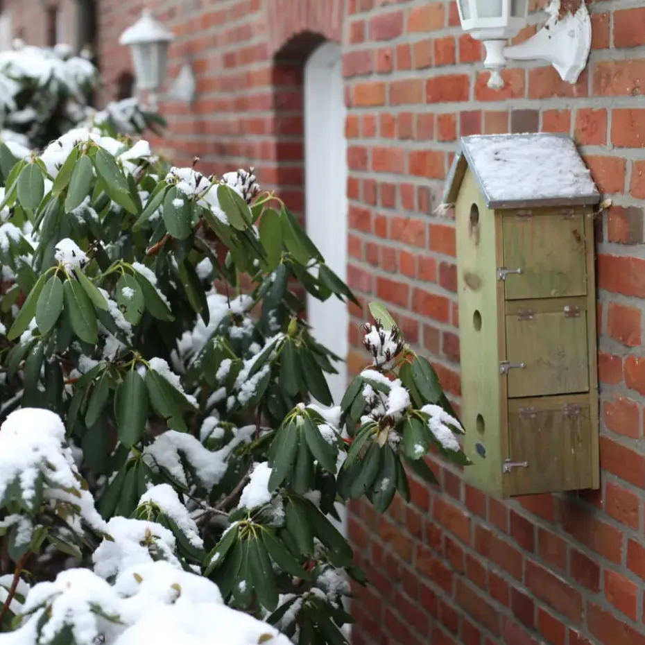Best for Birds Vogelhuisje - mussenflat - hout - 51 x 19 cm
