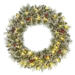 Black Box Trees Vandans Kerstkrans met LED - Ø60 cm - Groen Frosted