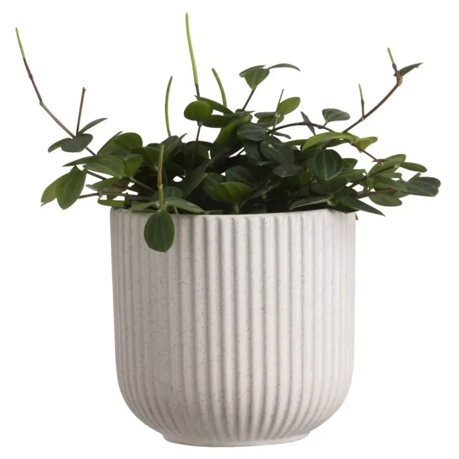 Bloempot Ribe - grijs - keramiek - 14xØ14,5 cm