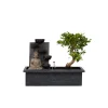 Bonsai met Buddha - Bonsai - Hoogte 25-35cm - ⌀29cm