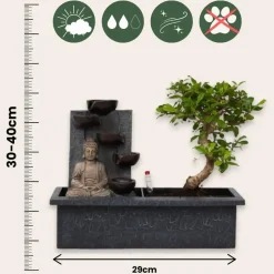 Bonsai met Buddha - Bonsai - Hoogte 25-35cm - ⌀29cm