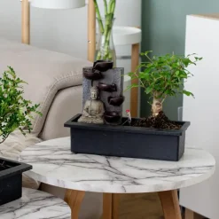 Bonsai met Buddha - Bonsai - Hoogte 25-35cm - ⌀29cm