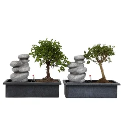 Bonsai met waterval - Set van 2 - Bonsai - Hoogte 25-35cm - ⌀29cm