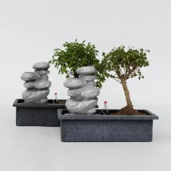 Bonsai met waterval - Set van 2 - Bonsai - Hoogte 25-35cm - ⌀29cm