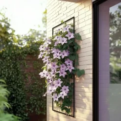 Bosrank - 2 stuks - Clematis 'Hagley Hybrid' - Hoogte 100-120cm - ⌀17cm