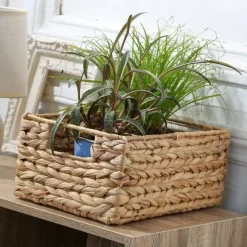 CALICOSY - Mand - Beige - 13x28x19 cm