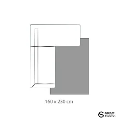 Carpet Studio Ohio Vloerkleed - Beige - 160x230cm