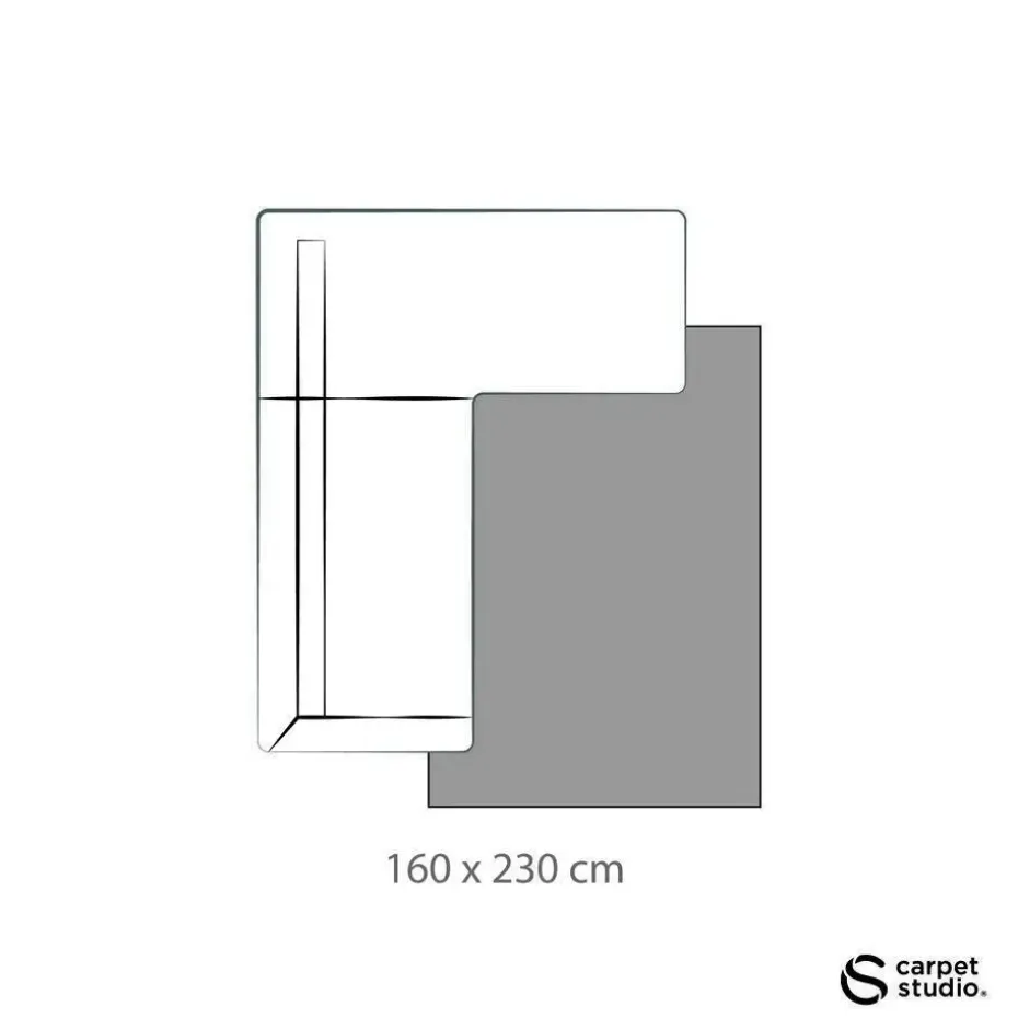 Carpet Studio Ohio Vloerkleed - Beige - 160x230cm