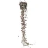 Chinees lantaarnplantje - Ceropegia linearis Woodii - Hoogte 20-30cm - ⌀14cm