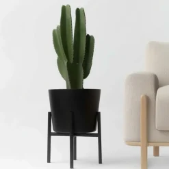 Cowboycactus - Euphorbia ingens - Hoogte 85-95cm - ⌀24cm