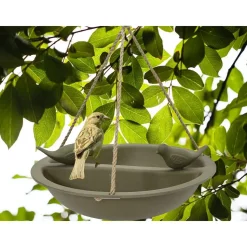 Decoris Vogelbad - bamboe hout - donkergroen - drinkschaal - 27 cm
