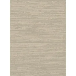 Dutch Lifestyle - Viscose - Vloerkleed - 160x230cm - Beige