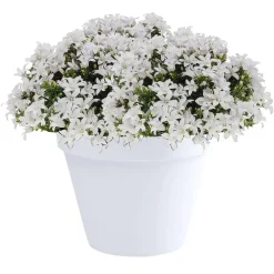 EDA Toscane Bloempot - kunststof - wit - D40 x H32 cm