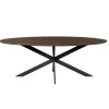 Eettafel Ovaal Bruin Hout - 210x100x76cm - Ferris