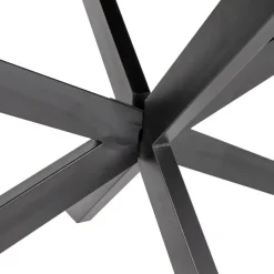 Eettafel Ovaal 200cm - Mangohout Zwart - Matrix-Poot - Mansour