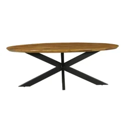 Eettafel Ovaal Naturel Mangohout - 300x110x76cm - Brandy