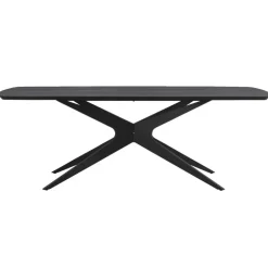 Eettafel Suzanne - zwart - 220x100 cm