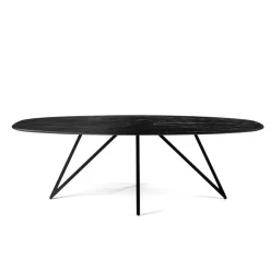 Eettafel Zwart Acaciahout - Ovaal - 240x110x76cm - Langford