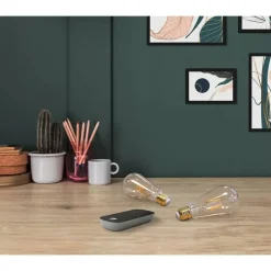 EGLO starter-z Starterspakket - E27 LED Lampen - Afstandsbediening