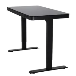 Elektrisch verstelbaar bureau / thuiswerkplek - 120x60 cm - Glas zwar