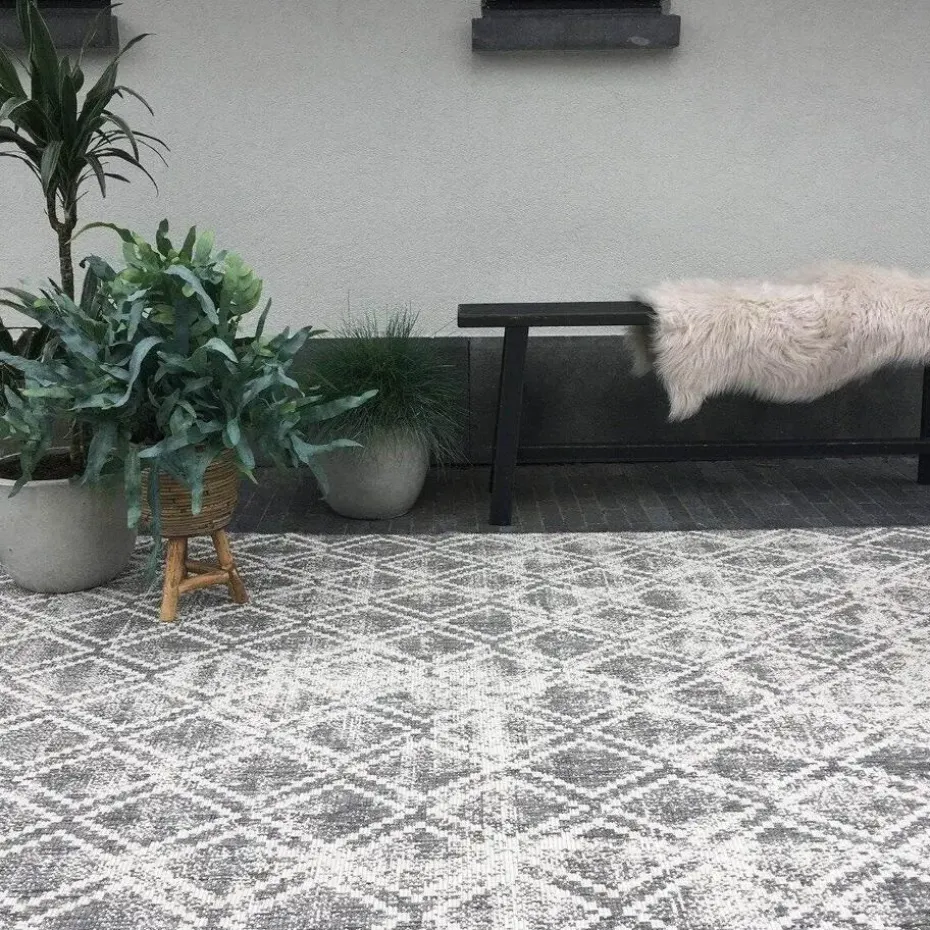Eva Interior Buitenkleed Grijs Frost - 200 x 200 cm