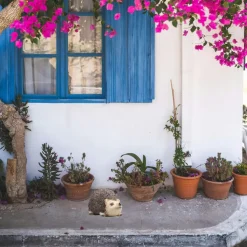 Farmwood Egel tuin beeldje - voor binnen/buiten - 15 x 12 x 11 cm