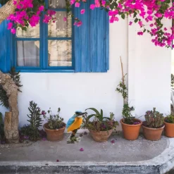 Farmwood tuin deco vogel beeldje - ijsvogel - op tak - 9 x 15 cm