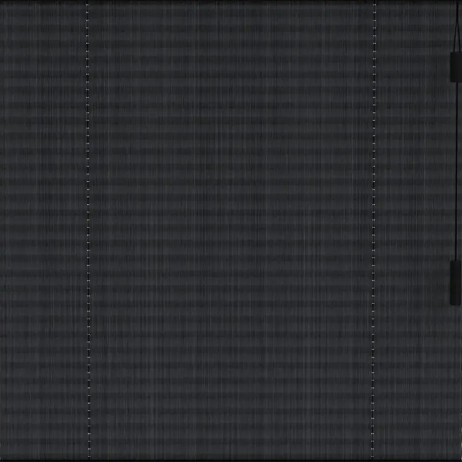 Fenstr plisségordijn Lille enkel 20mm transparant - zwart (15017)