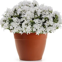 Forte Plastics Bloempot - terracotta - kunststof - 50 cm