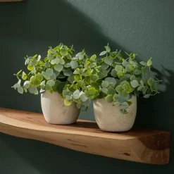 Fraaai - Woody wandplank set van drie