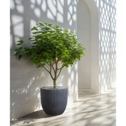 FRAXINUS - Bloempot - Grafietgrijs - MgO