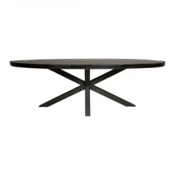Furndea Eettafel Morada industrieel ovaal mangohout zwart 160x90x76cm