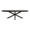 Furndea Eettafel Morada industrieel ovaal mangohout zwart 300x120x76cm