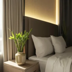 Geluksbamboe - Set van 12 - Dracaena sanderiana - Hoogte 40-50cm - ⌀2cm