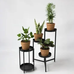 Gemakkelijke kamerplanten - Set van 4 incl. mand - Hoogte 25-40cm - ⌀12cm