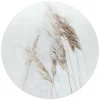 Glasschilderij Pampasgrassen - Ø 50cm - Wit