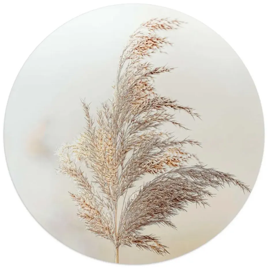 Glasschilderij Pluim in de wind - Ø 50cm - Beige