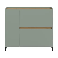 Hioshop Drive schoenenkast 1 deur- 2 vouwdeuren salvie decor